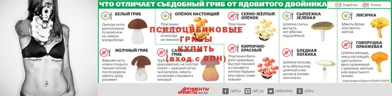 цены   Лакинск  мега зеркало  Галлюциногенные грибы Cubensis 